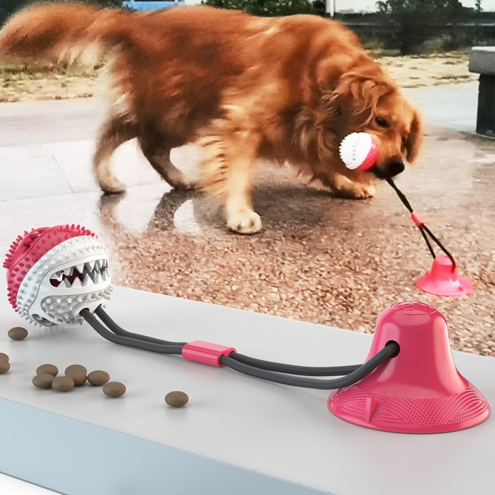 Pet Molar Bite Toy - just4ourpets