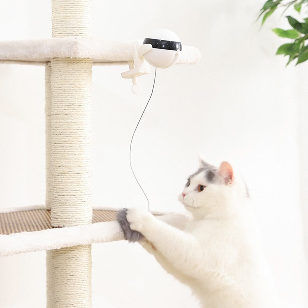 Electronic Motion Cat Toy - just4ourpets