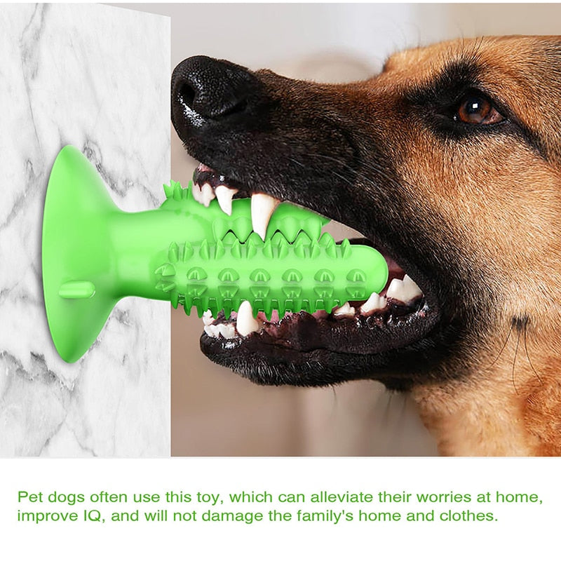 Dog Toothbrush Toys - just4ourpets