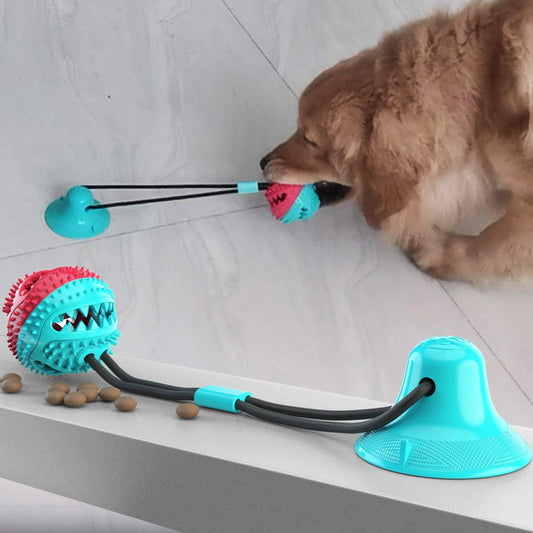 Pet Molar Bite Toy - just4ourpets