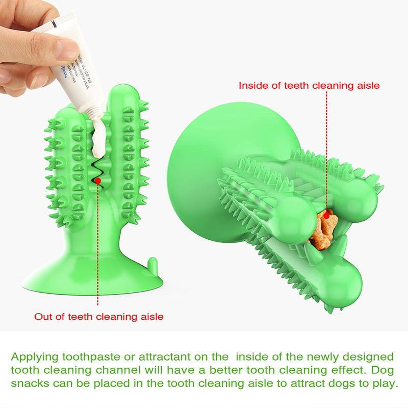 Dog Toothbrush Toys - just4ourpets