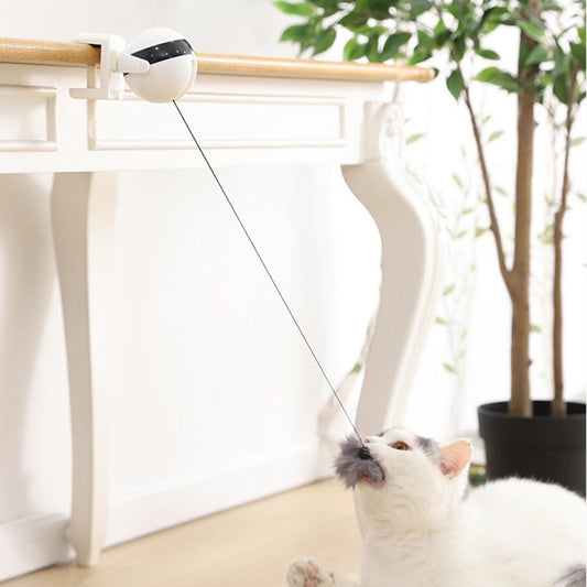 Electronic Motion Cat Toy - just4ourpets