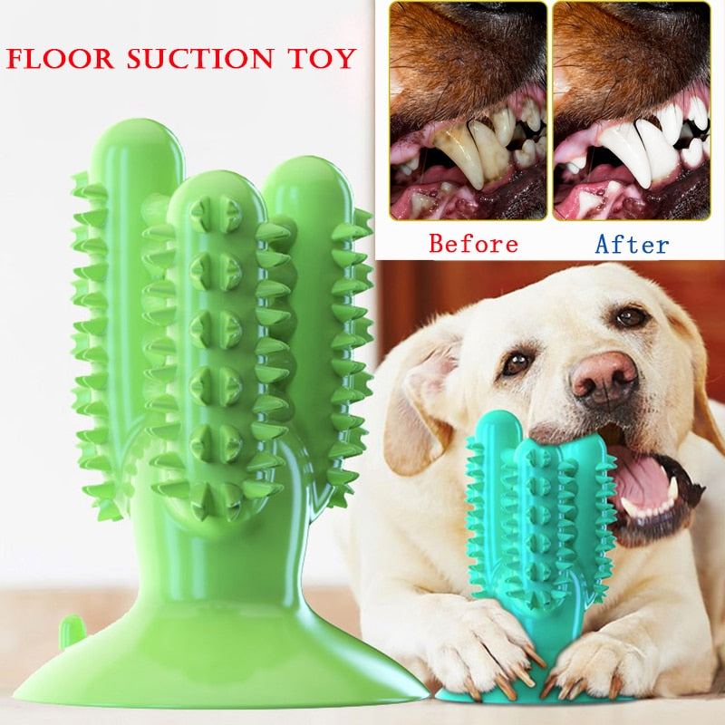 Dog Toothbrush Toys - just4ourpets