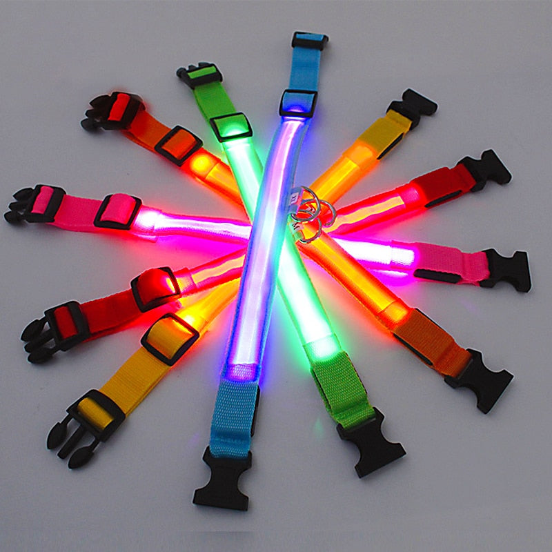 LED Glowing Dog Collar - just4ourpets