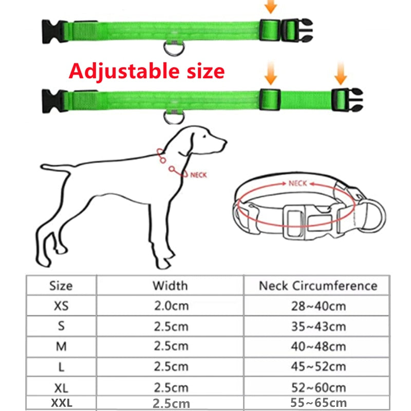 LED Glowing Dog Collar - just4ourpets