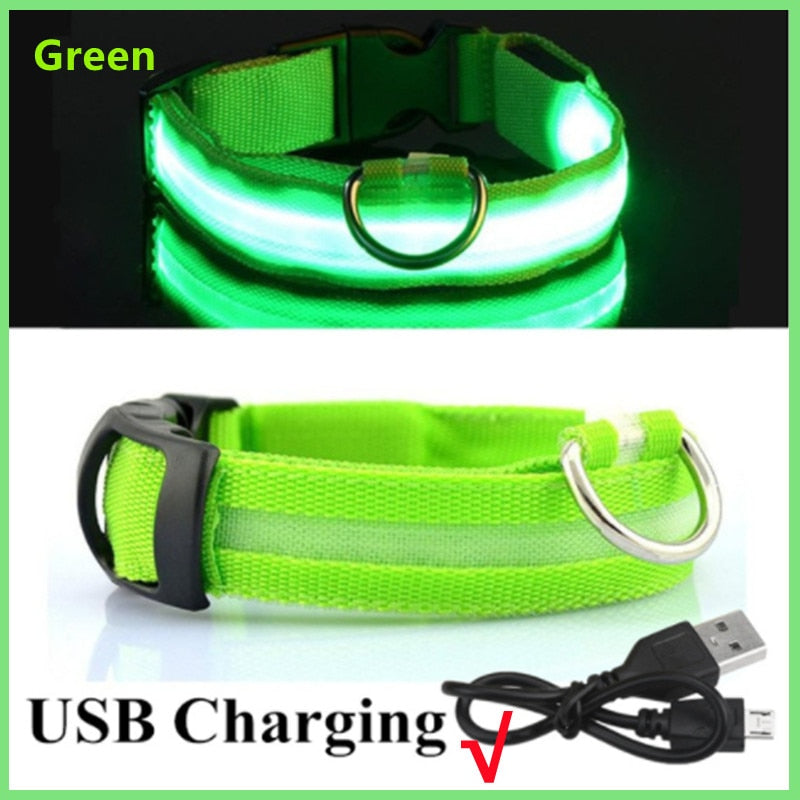 LED Glowing Dog Collar - just4ourpets