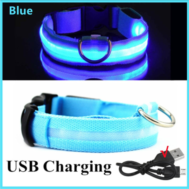 LED Glowing Dog Collar - just4ourpets