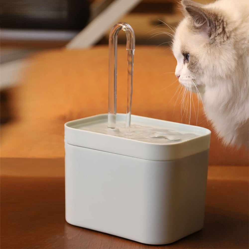 Electric Pet Water Dispenser - just4ourpets