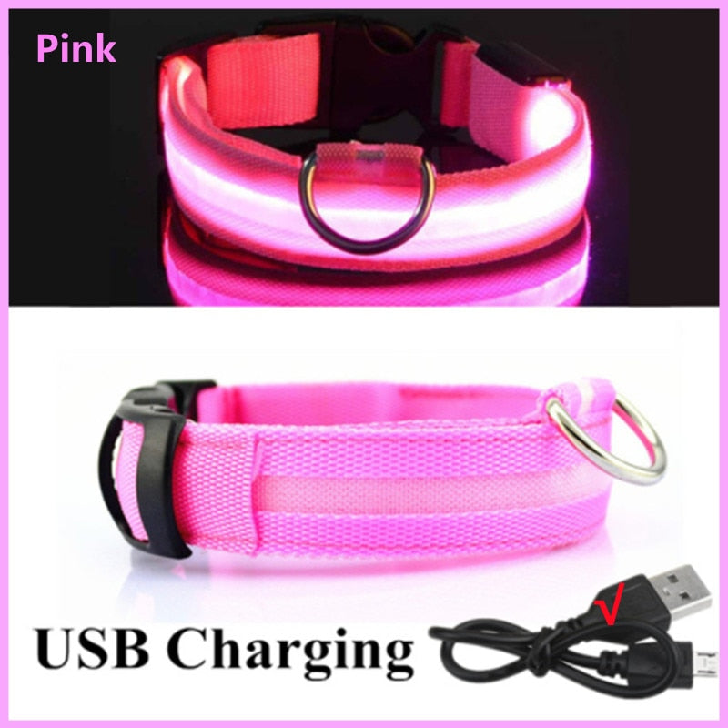 LED Glowing Dog Collar - just4ourpets