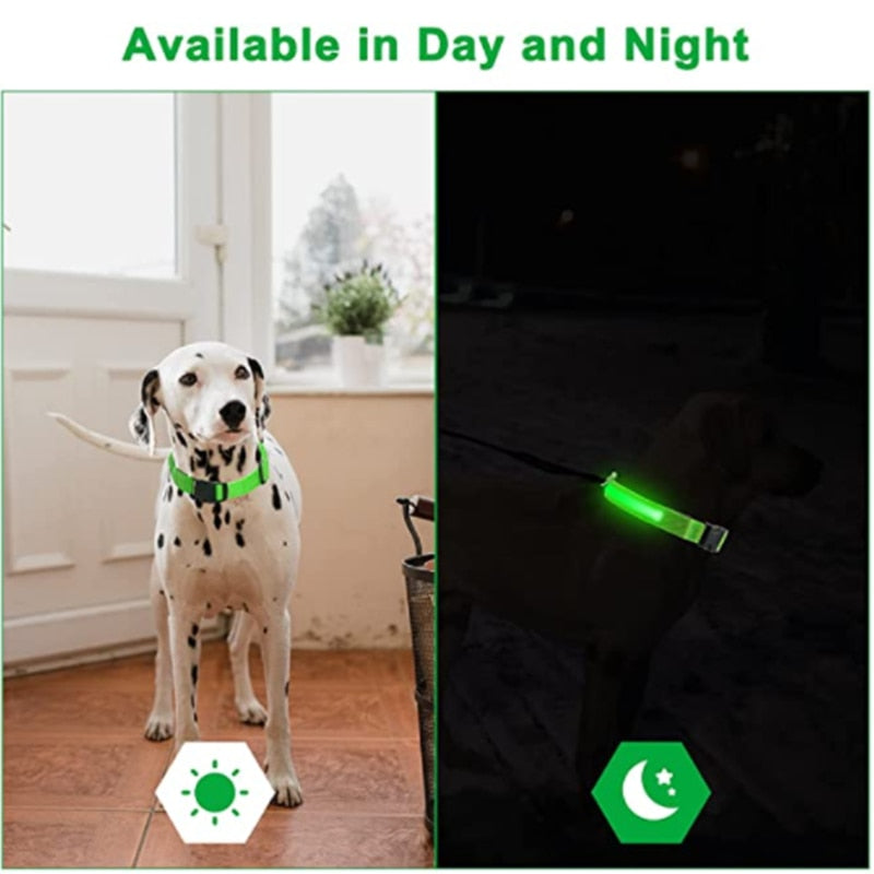 LED Glowing Dog Collar - just4ourpets