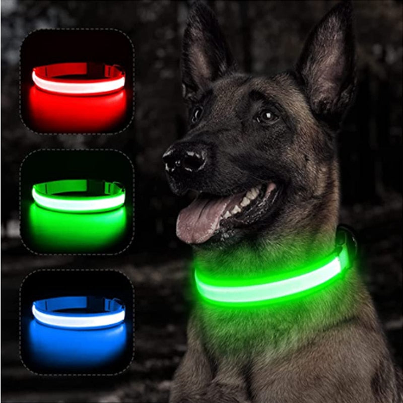 LED Glowing Dog Collar - just4ourpets